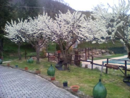 Agroturismo Agriturismo Costa San Bernardo
