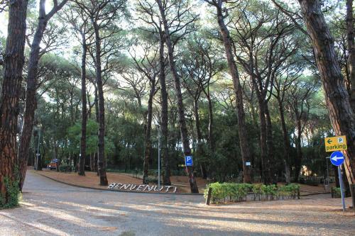 Camping Continental