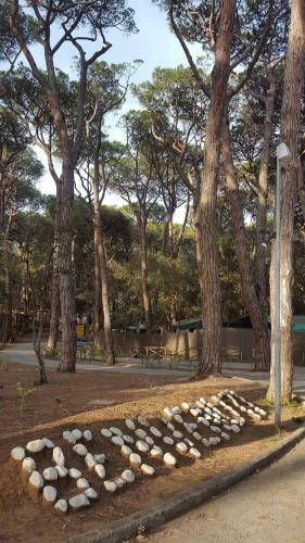 Camping Continental