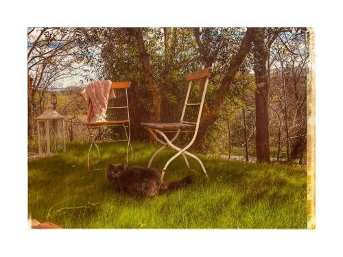 Bed & Breakfast La Dimora Del Conte