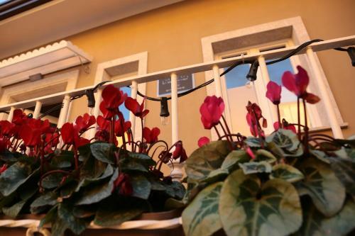Bed & Breakfast Le Camere Di Corte