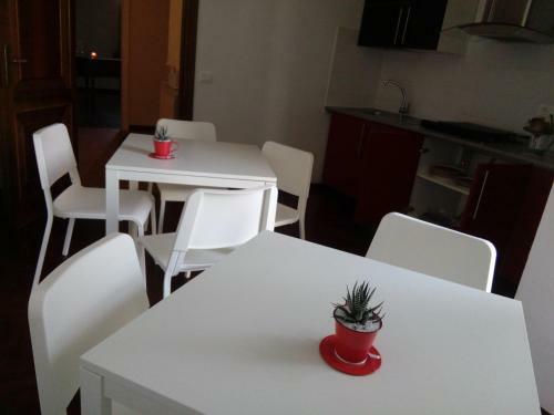 Hostal Dream Home