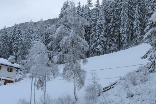 Hotel Alpenrose