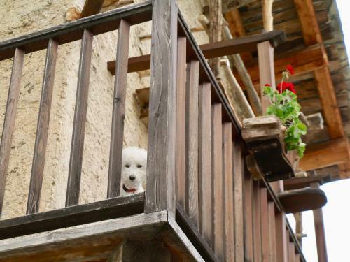 Hotel Occitan Charme