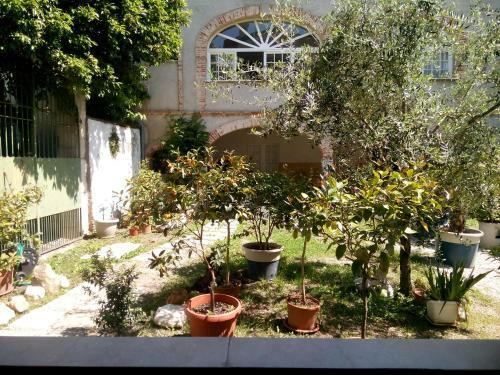 Il Cortile B&B