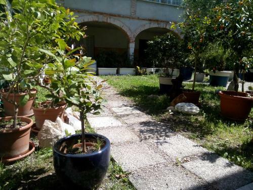 Il Cortile B&B