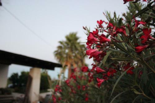 Villetta A Pochi Minuti Da Gallipoli