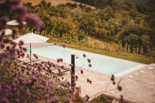 Vigna Rocchetta
