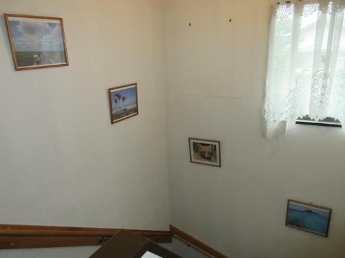 B&B Pier