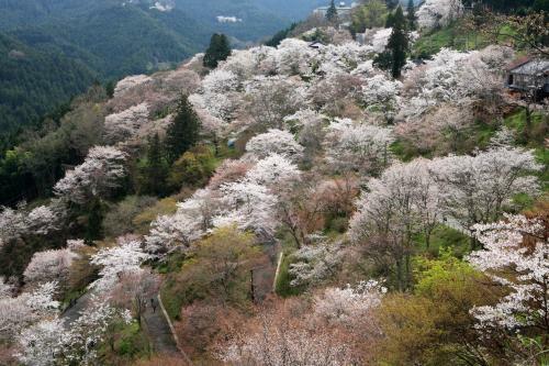 Ryokan Kato