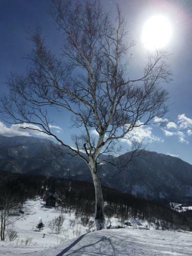Bed & Breakfast First Tracks At Cortina / Norikura