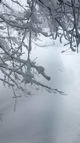 Bed & Breakfast First Tracks At Cortina / Norikura