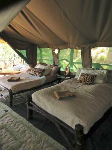 Sabache Camp