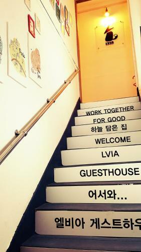 Hostal Lvia Guesthouse
