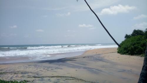 Green Villa Beach And Juice Bar