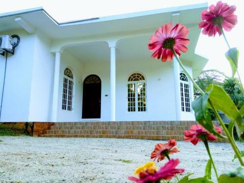 Hostal The Inn At Matale