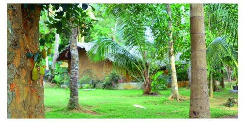 Mereiyans Villa Eco Cottage