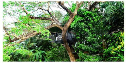 Mereiyans Villa Eco Cottage