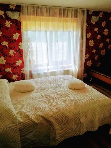 Hotel Kaimo Turizmo Sodyba Margi?ki? Dvaras