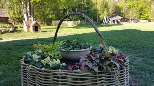 Agroturismo Laukdvaris
