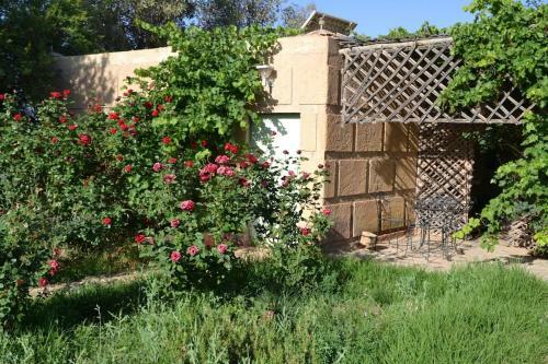 Agroturismo Salma Palm's Ferme D'h�tes