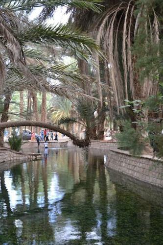Agroturismo Salma Palm's Ferme D'h�tes
