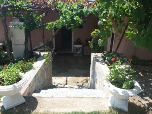 Apartments Jovan