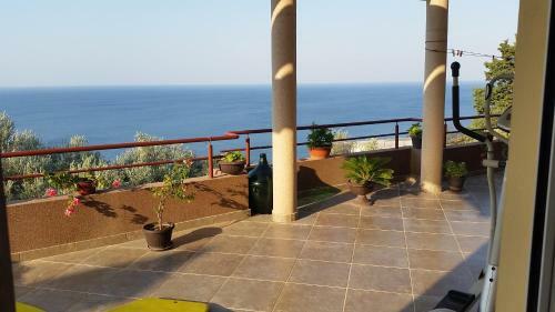 Apartments Jovan