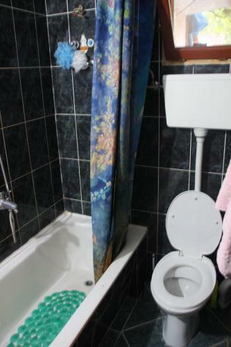 Apartments Jovan