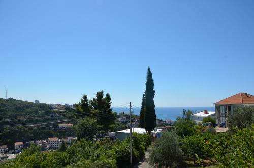 Apartment Dragovic