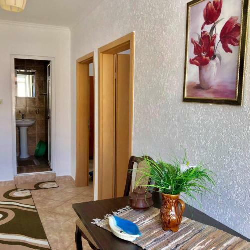 Apartments Zuto