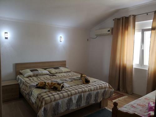 Hostal Berin Apartments