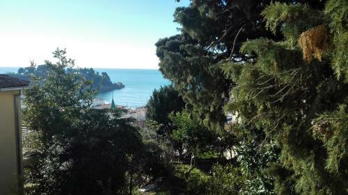 Apartman Todor