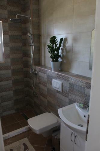 Apartmani Pogled