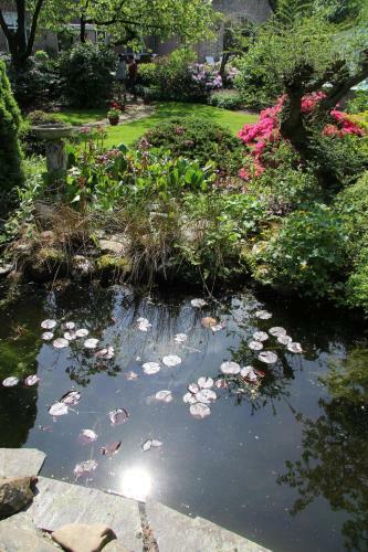 Bed & Breakfast De Oude Pastorie