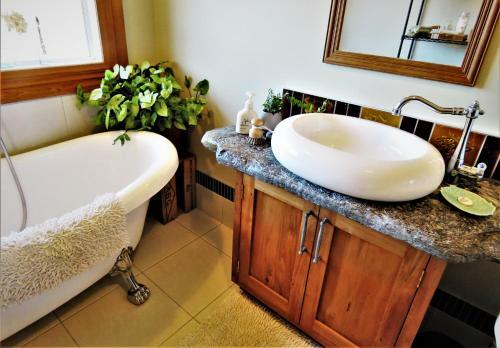 Agroturismo Blue Spur Farmstay - Eco Home