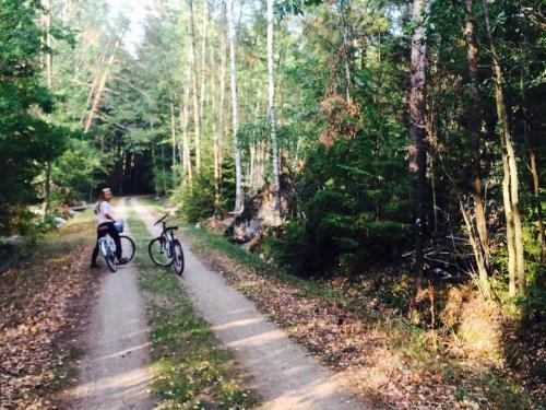 Lodge Domek Przy Wilczym Szlaku