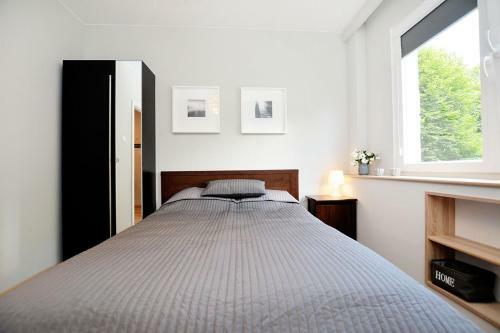 Apartament Z?oty