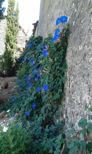 Quinta De S�o Jo�o