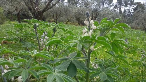 Quinta De S�o Jo�o