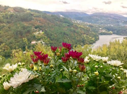 Agroturismo Pedacinho De Mundo Douro