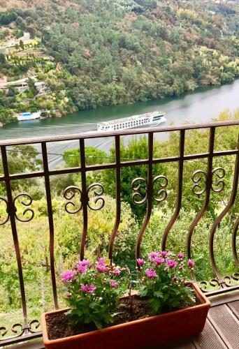 Agroturismo Pedacinho De Mundo Douro