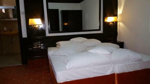 Hostal Conacul Balta Alba