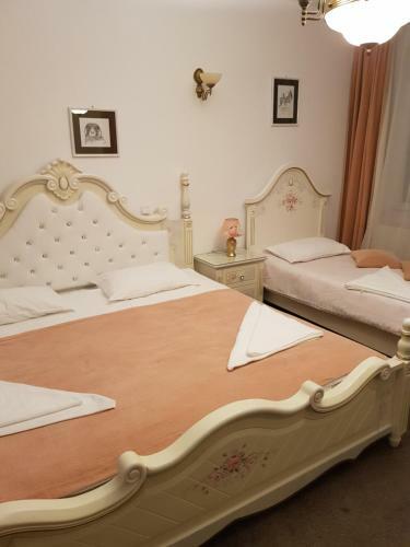 Hostal Conacul Soimilor