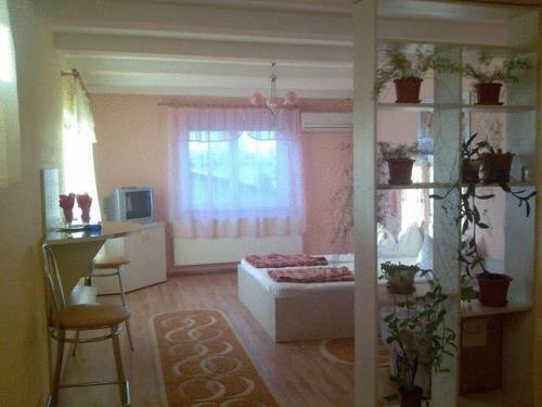 Hostal Pension Popas Paradis