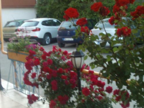 Hostal Pension Popas Paradis