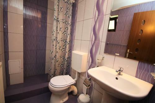 Hostal Pensiunea Ciobanelu