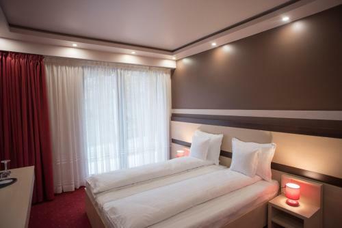 Homorod Hotel