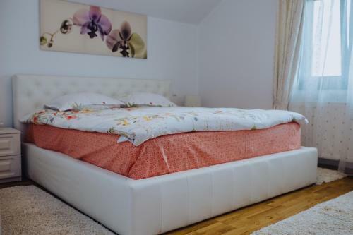 Hostal Pensiunea Andrei