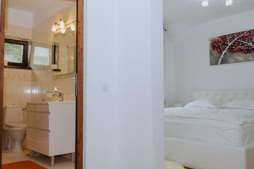 Hostal Pensiunea Andrei